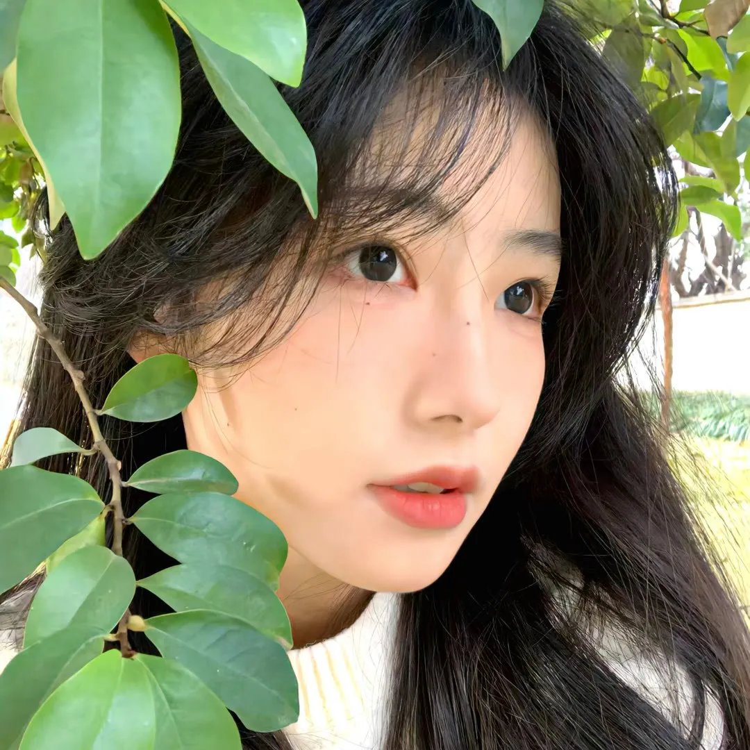 球光艳影